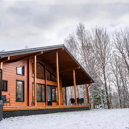 Premium Arctic River Villa *
