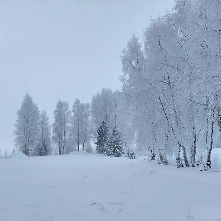 Premium Arctic River Villa *